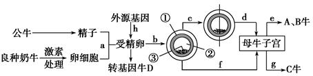 http://iflytekedu.bj.openstorage.cn/question/2018/4/1/14/16/1e7a670a-7ff1-47c3-a80e-b7b84510604d.png