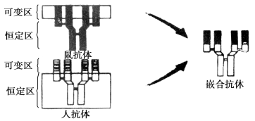 高考资源网(ks5u.com),中国最大的高考网站,您身边的高考专家。