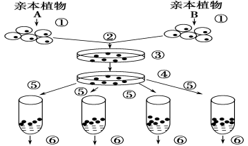 F:\王婧芬\2015\源文件\人教选修3\s109.TIF